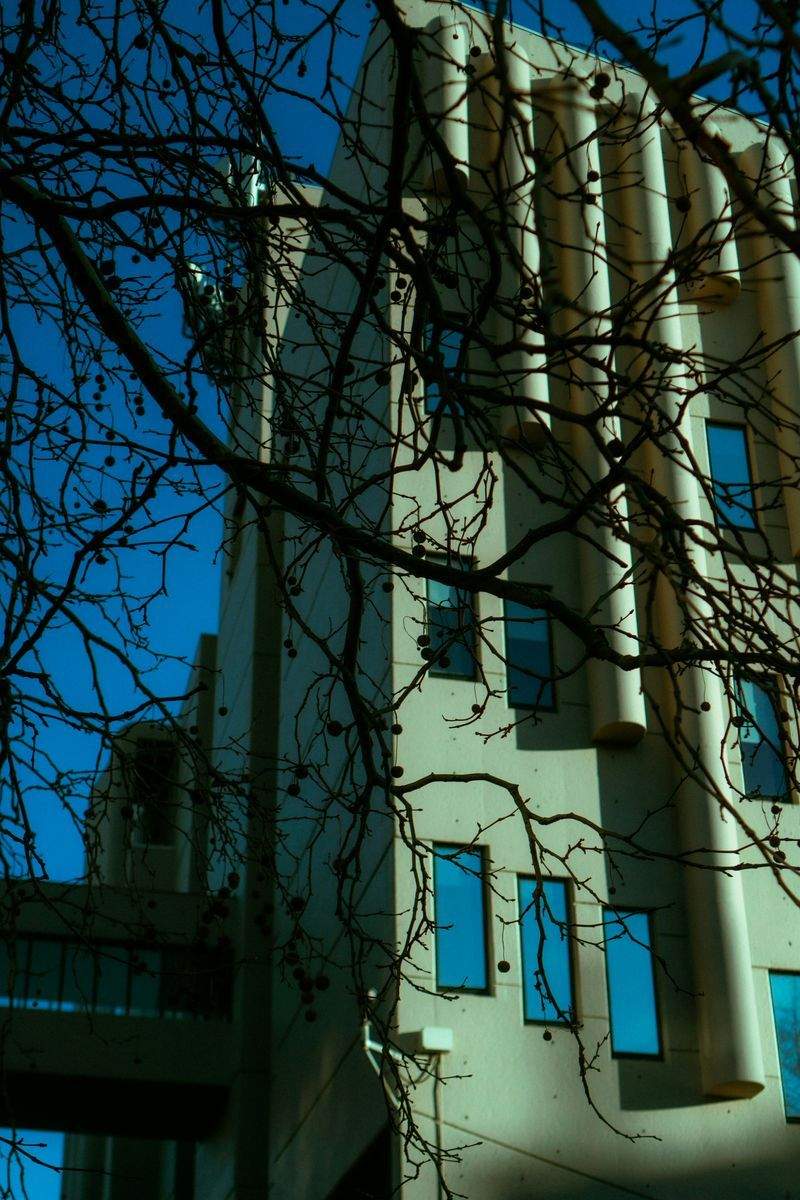 未来教育学院 - Image 14